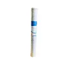 20-Inch Slim Carbon Block Filter (CTO).webp