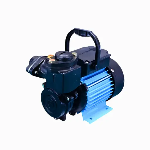Raw Water Pump